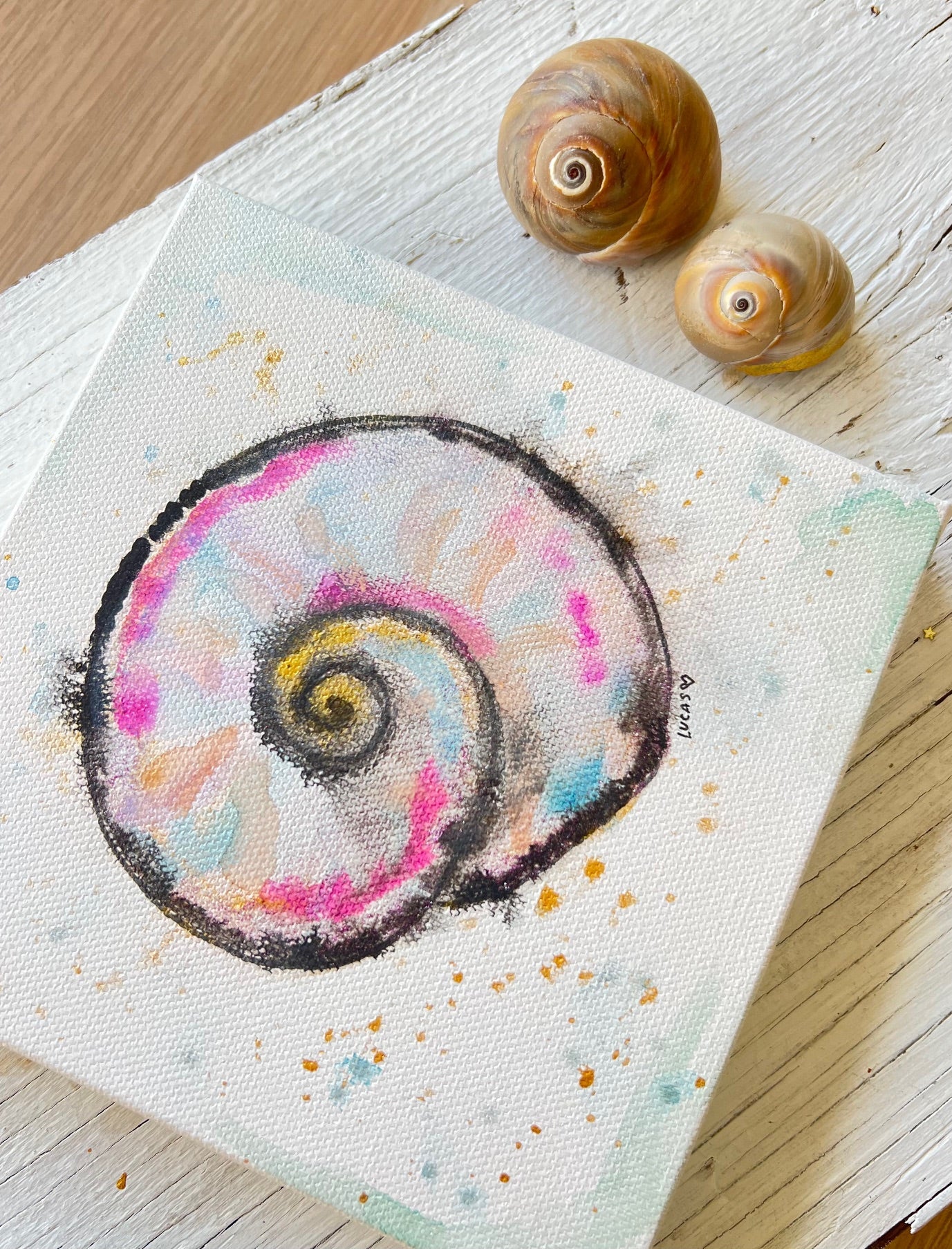 Moon Snail Painting II