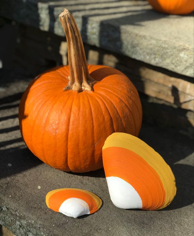 Candy Corn Shells